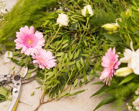 Florist Waste Stock Photos