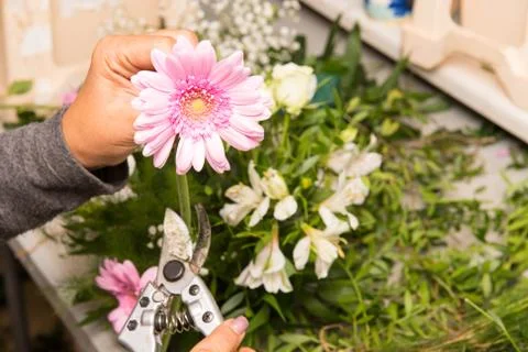 Florist at Work Stock Photos