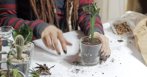 Florist work with plants indoors Video stock 88227960