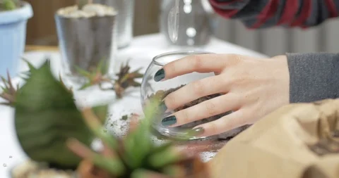Florist work with plants indoors Video stock 88228277