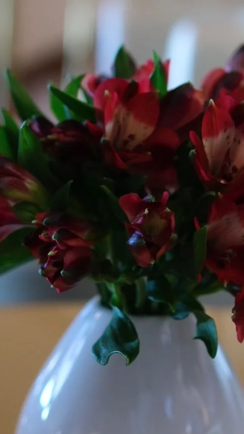 Florist at work, woman hands making fashion modern bouquet of peony flowers Stock Footage 314481386