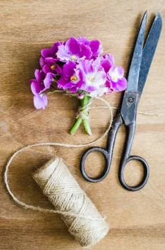 Floristic background. Flowers, old scissors and a rope. Stock Photos