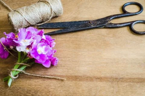 Floristic background. Flowers, old scissors and a rope. 스톡 사진