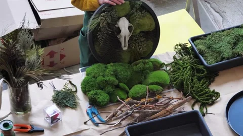 Floristic master class on making moss compositions with plants and branch Stock Footage 263121179
