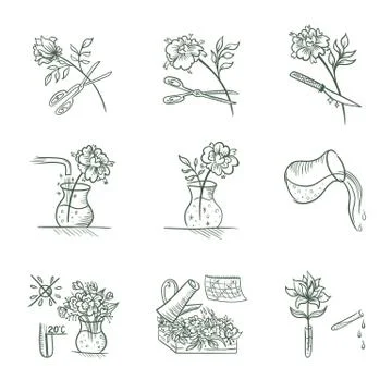 Floristic Vector Icons Stock Illustration