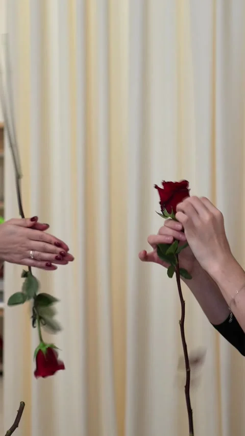 Florists clean and prepare a red rose for a bouquet Stock Footage 317961455