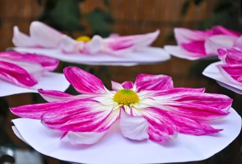 Florist's mun Stock Photos