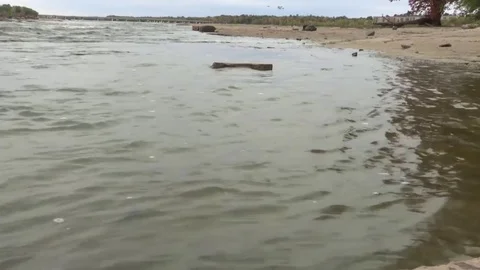 Floting log zoom in Video stock 81456413