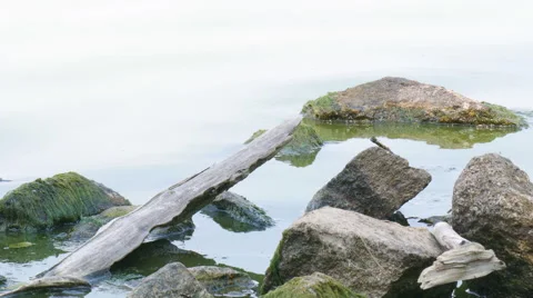 Flotsam on the beach Stock Footage 51866382