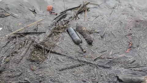 Flotsum in a river Stock Footage 171612480