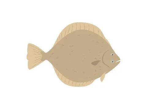 Flounder flatfish living at bottom of oceans, flat vector illustration isolated. Stock Illustration