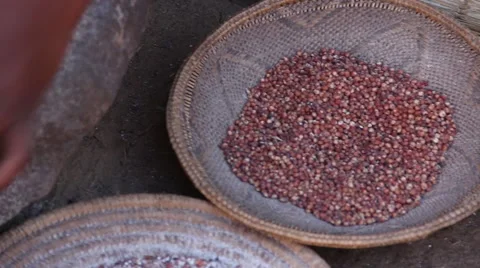 Flour being made of seeds Stock Footage 51493848