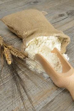 Flour dumplings Stock Photos