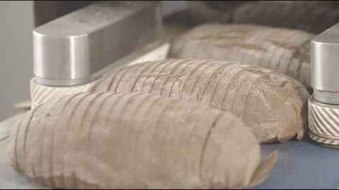 Flour factory, flour sweets, bread, pie, biscuits Stock Footage 114418508