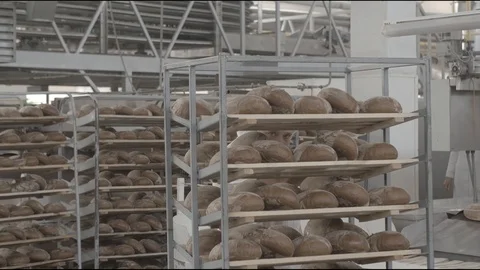 Flour factory, flour sweets, bread, pie, biscuits Stock Footage 114418584
