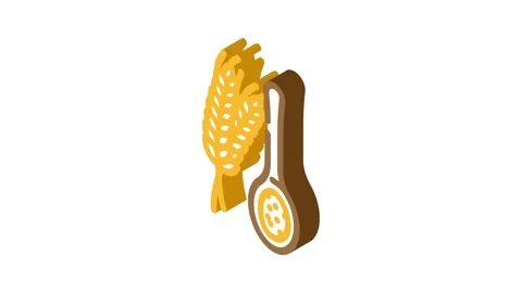 Flour spoon wheat isometric icon animation Stock Footage 327293416