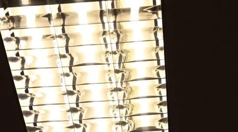 Flourescent Overhead Lights Switching On Видео 48617721