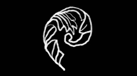 Flourish Elements 05 Stock Footage 48930930