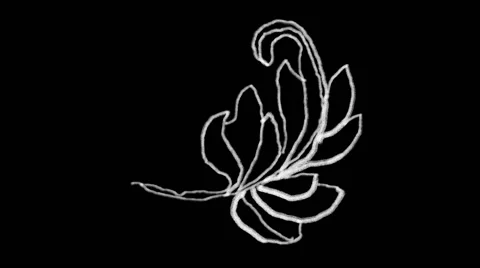 Flourish Elements 08 Stock Footage 48930936