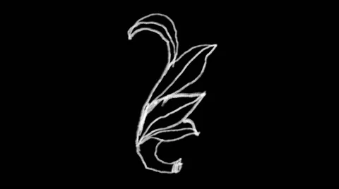 Flourish Elements 09 Stock Footage 48930935