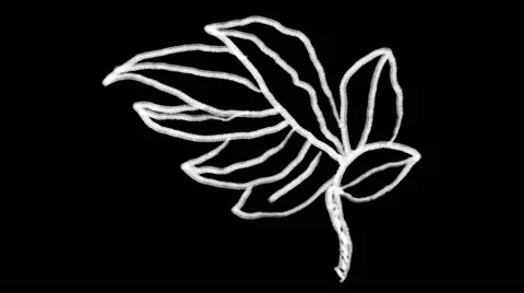 Flourish Elements 16 Stock Footage 48930947