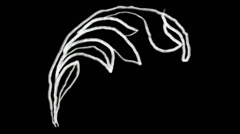 Flourish Elements 17 Stock Footage 48930948