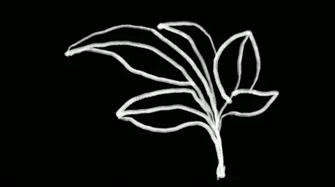 Flourish Elements 19 Stock Footage 48930950