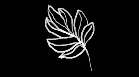 Flourish Elements 21 Stock Footage 48930953