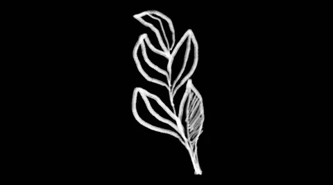 Flourish Elements 22 Stock Footage 48930952