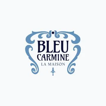 Flourish frame logo design template Stock Illustration