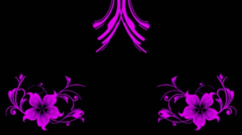 Flourish of particles animation Video stock 41531801