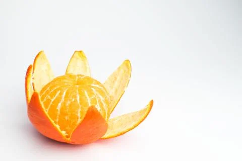 Flourish Stock Photos