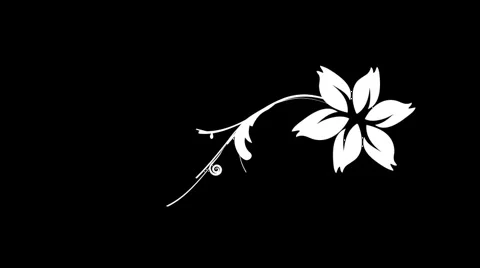 Flourish1 Stock Footage 1069118