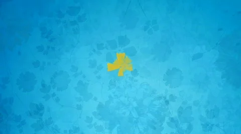 Flourishes frames intro 02 Stock Footage 351696