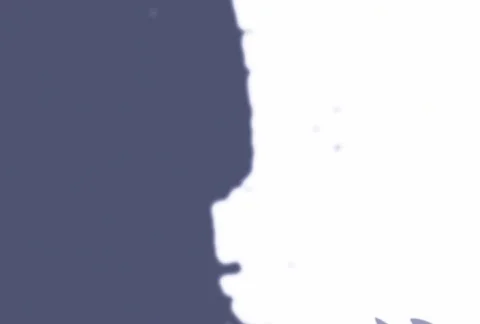 Flourishes timelapse frames  Stock Footage 324279