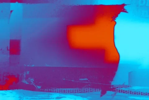 Flourishes timelapse frames  Video stock 324283