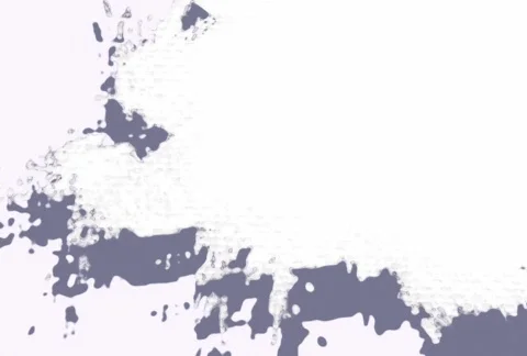 Flourishes timelapse frames  Video stock 324389