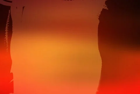 Flourishes timelapse frames  Video stock 324391