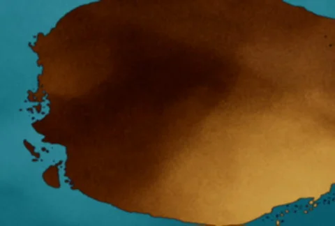 Flourishes timelapse frames  Stock-Footage 324395