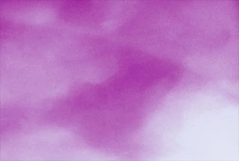 Flourishes timelapse frames  Video stock 324405