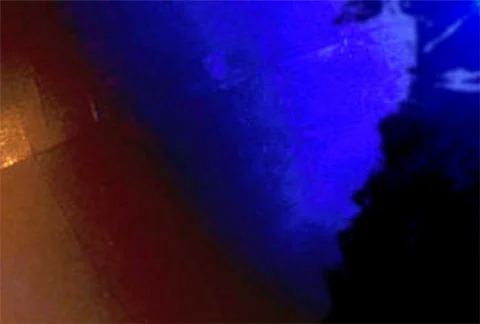 Flourishes timelapse frames  Stock-Footage 324410