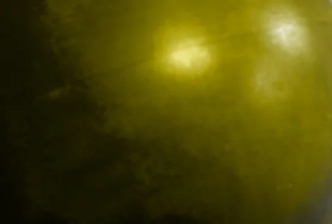 Flourishes timelapse frames  Video stock 324416