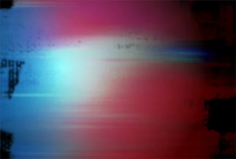 Flourishes timelapse frames  Stock-Footage 324419