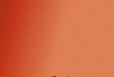 Flourishes timelapse frames  Stock-Footage 324428