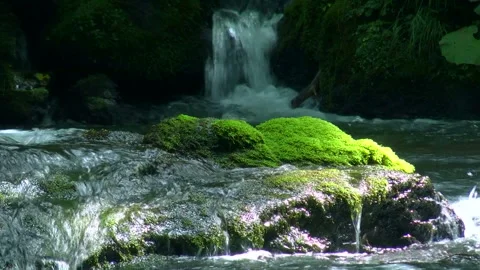 Flow and Moss-Covered Rocks Video stock 332379191