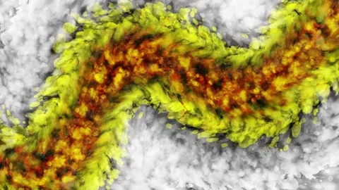 Flow animation, Abstract fluid animation, Seamless loop animation, 4K video Stock Footage 241813646