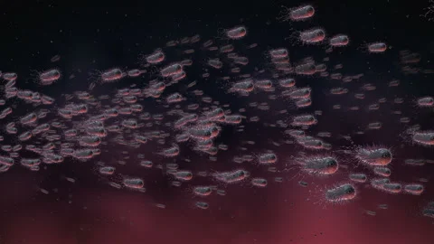 Flow Of Bacteria in human body as a 3d animation Stock Footage 234286333