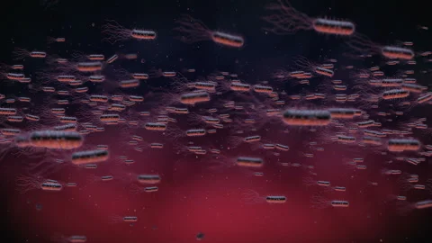 Flow Of Bacteria in human body Stock Footage 234286502