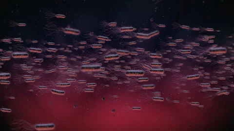 Flow Of Bacteria in human body Stock Footage 234288129