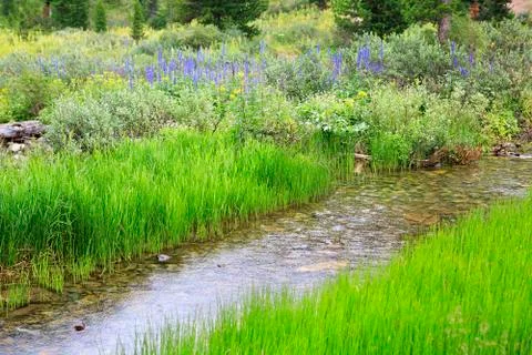 Flow between the fifth and sixth Karakol lakes Stock Photos